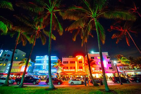 Our picks for the best free things to do in Miami - Lonely Planet