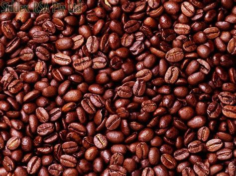 Robusta Coffee Beans - Manufacturer Exporter Supplier in South Africa