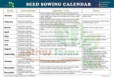 Sowing Seeds Calendar - Liana Ophelie