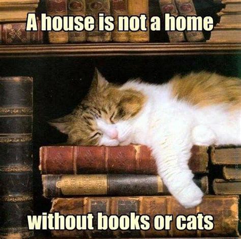 A house is not a home without books or cats | Picture Quotes