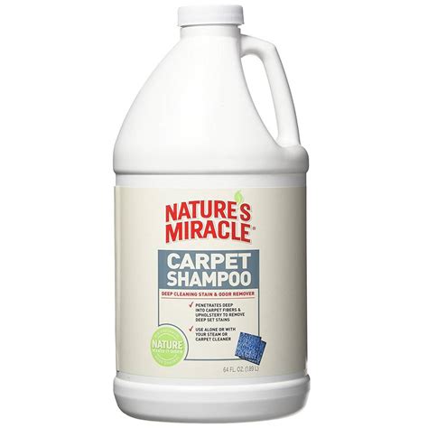 9 Best Carpet Shampoos - (Reviews & Buying Guide 2022)