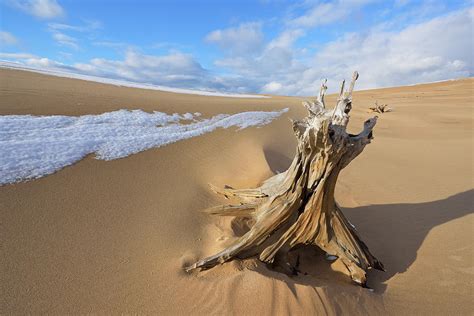 Silver Lake Sand Dunes Photograph by Dean Pennala