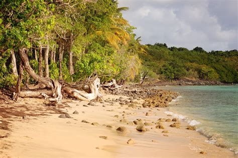 8 Most Beautiful Martinique Beaches | France Bucket List