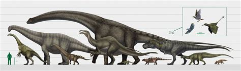 The accuracy and precision of body mass estimation in non-avian dinosaurs - Carnivora