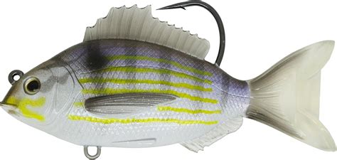 Amazon.com : LIVE TARGET PFS93MS718 Pinfish Rattlebait, Saltwater, 3 1/2", 5/0, Medium/Slow ...