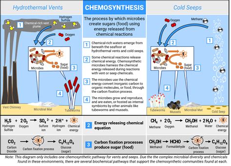 Chemosynthesis - Deep Ocean Education Project