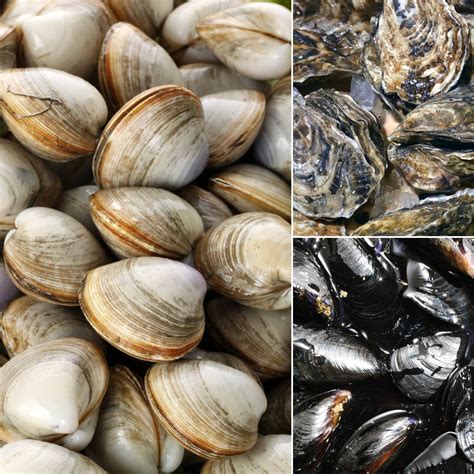 Bivalves | Seafood Buying Tips | POPSUGAR Food Photo 6