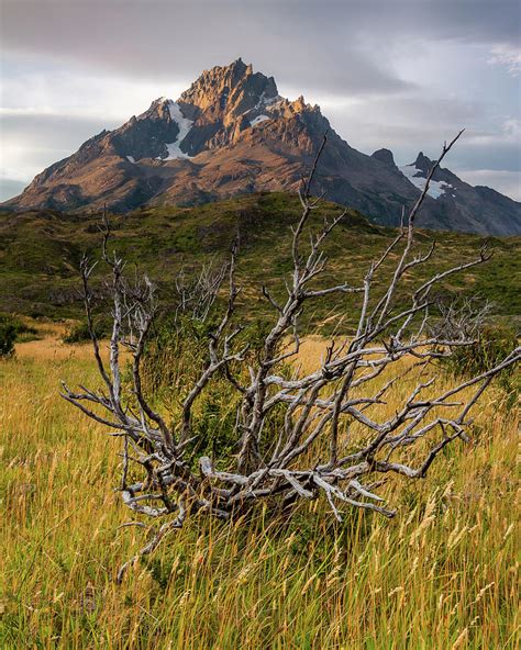 Patagonia landscape Photograph by Rafael Dias | Fine Art America