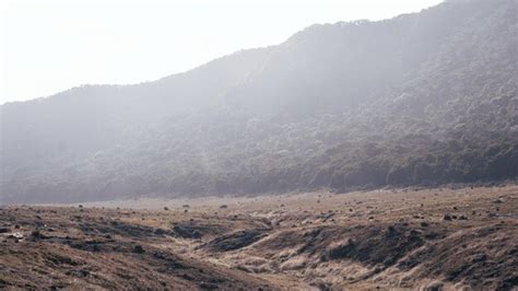 Premium Photo | Photo from the Gunung Gede National Park square