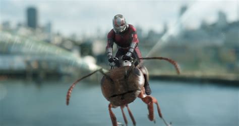 Ant-Man riding Ant in Ant-Man and the Wasp Wallpaper, HD Movies 4K Wallpapers, Images, Photos ...