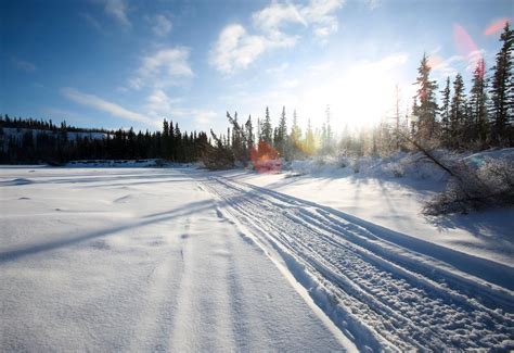 Yukon Quest trail, snowpack in good shape | Yukon Quest | newsminer.com