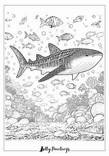 28 Shark Coloring Pages  Free Printable Images sketch template