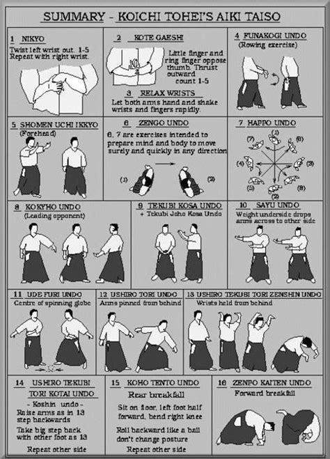 Aiki Taiso is an exercise that you do by yourself that is directly related to Aikido techniques ...