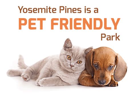 Pet Friendly - Yosemite Pines