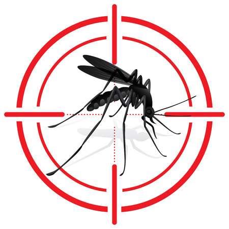 dengue mosquito clipart 20 free Cliparts | Download images on Clipground 2024