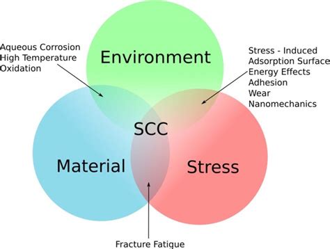 The relationship between stress, the environment, and susceptible ...