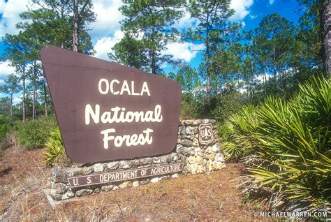 Ocala National Forest Camping & Cabins