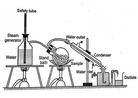 How do you calculate the efficiency of steam distillation? - Principle