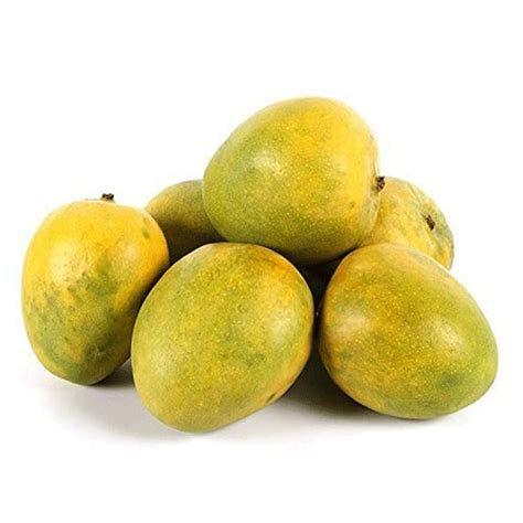 Buy Mango (Malgova, Graft) Fruit Plant Online | Greens Of Kerala