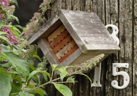 Mason Bee Habitat (Pollinators) | Garden, Mason bees, Outdoor learning