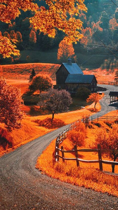 🔥 Free download Best Autumn phone wallpaper ideas in autumn phone ...