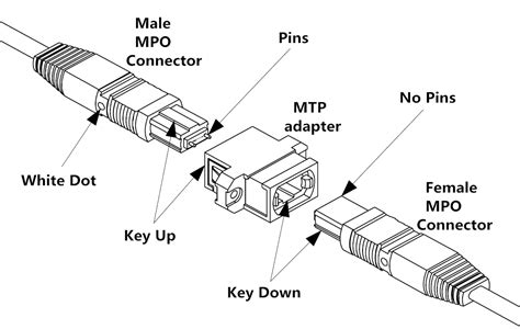 mpo-mtp-connectivity - Fiber Optic Solutions