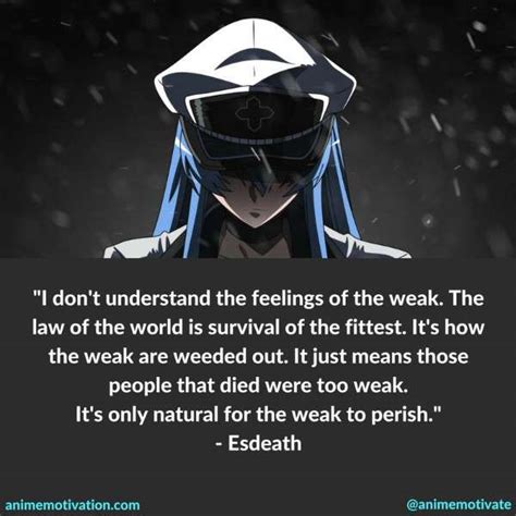 3 Esdeath Quotes That Will Make You Think