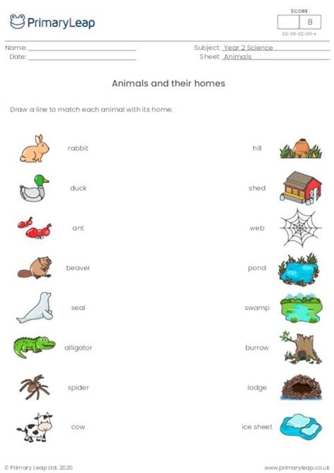 Animals And Their Homes Worksheet