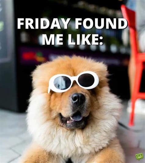 Friday Memes + Funny Stuff to Share | Thank God it's Friday!