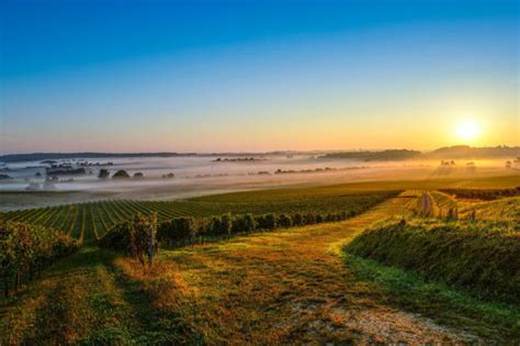 BORDEAUX & BEYOND | Awarded best city 2017 by LA Times - Château Living