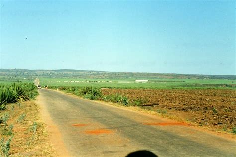 Back on the main road - sisal fields | Akesson's sisal farm … | Flickr