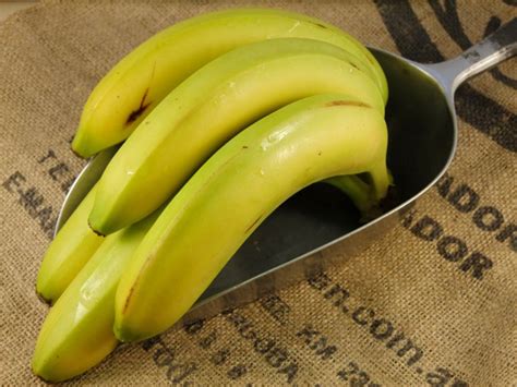 Organic Banana from Real Foods