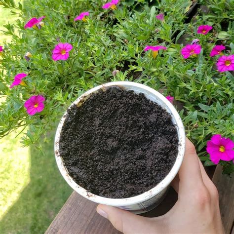 10 Super Simple Ways To Use Coffee Grounds In The Garden