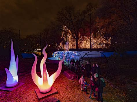 Photos: The Philly Zoo is glowing with a million holiday lights