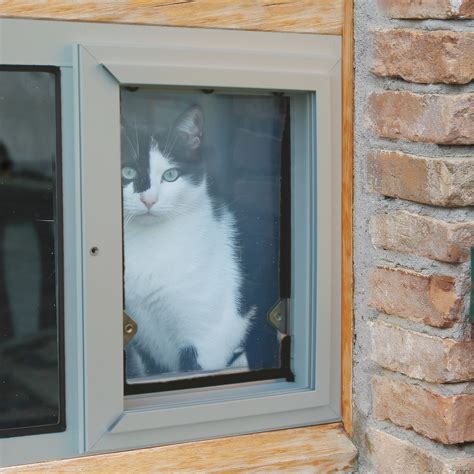 Cat Door Solutions for Windows and Patios - Security Boss Pet Doors