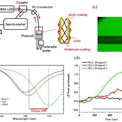 Principle of SPR sensor. Surface plasmon resonance (SPR) sensors detect ...