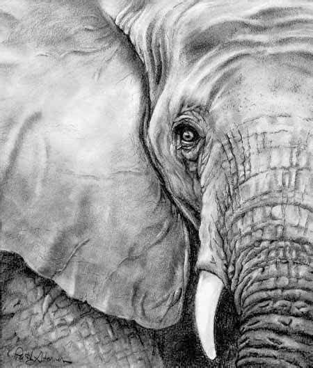 Kerala Elephant Pencil Drawing - pencildrawing2019