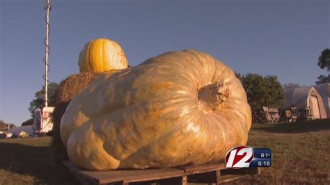 Pictures Of The Biggest Pumpkin In The World – the meta pictures