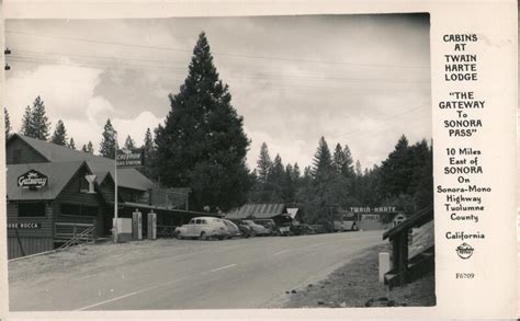 Cabins at Twain Harte Lodge California Postcard