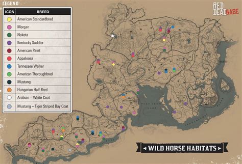 Wild horse map (I hope u guys find this useful and it’s 100% not my ...