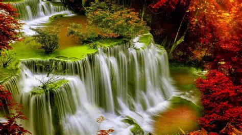 Top Angle View Of Greenery Stream Waterfalls Surrounded By Colorful ...