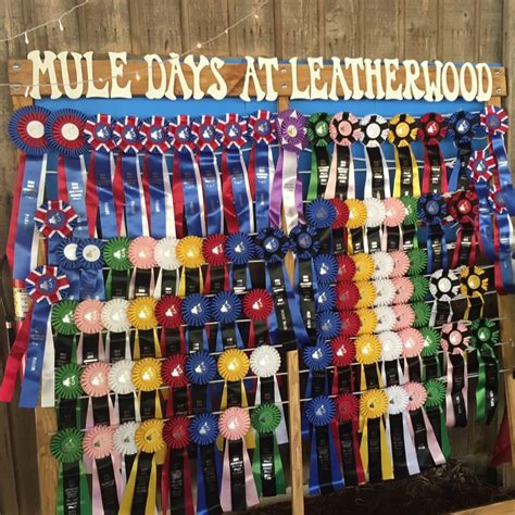 Mule Days at Leatherwood — American Mule Association