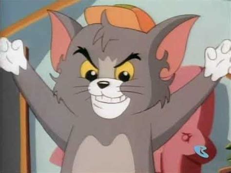 What Type Of Cat Is Tom From Tom And Jerry