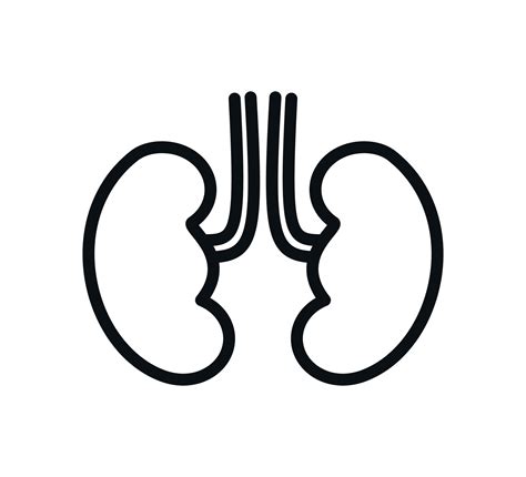 Kidney icon vector logo design template 7166925 Vector Art at Vecteezy