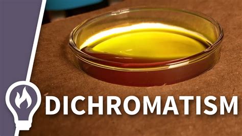 The rare property of pumpkin seed oil - dichromatism - YouTube