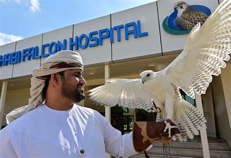 In pictures: Exclusive look inside Abu Dhabi's falcon hospital ...