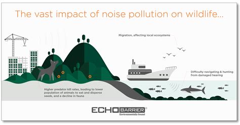 This Is How Animals Suffer From Noise Pollution