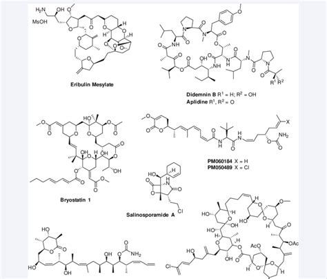 Structures of relevant polyketides. | Download Scientific Diagram