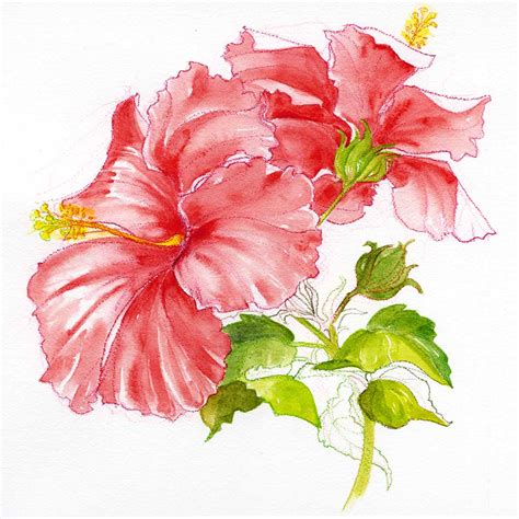 Watercolor Pencil Flowers at GetDrawings | Free download
