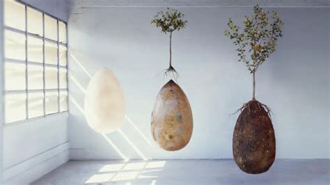 Fact Check: Biodegradable Burial Pods Turn Human Bodies Into Trees?